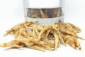 BeyondWhiskers Chicken Feet Dog Chews