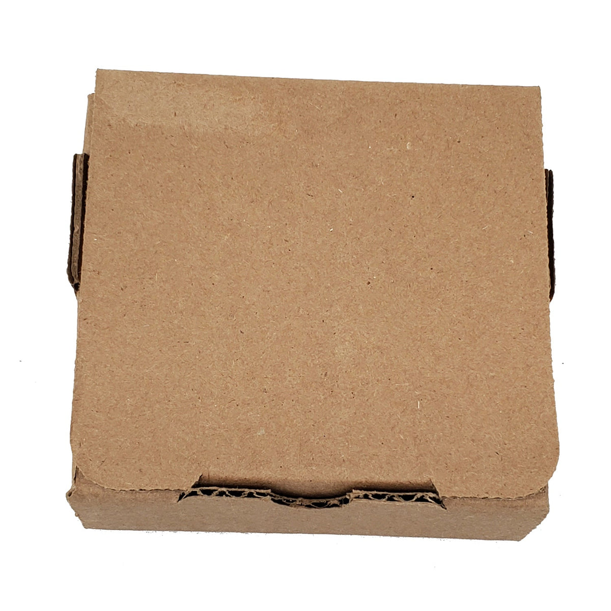 Curly-Coated Retriever Luau Large Sandstone Coasters Pack of 4