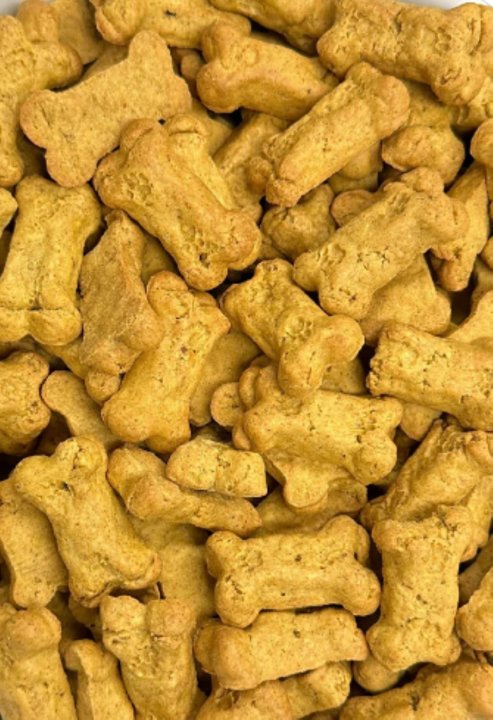 BeyondWhiskers Pumpkin Bites Crunchy Dog Treats