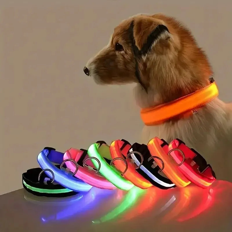 LED Night Safety Dog Leash | Glow-in-the-Dark Reflective Leash for Night Walks & Trail Runs