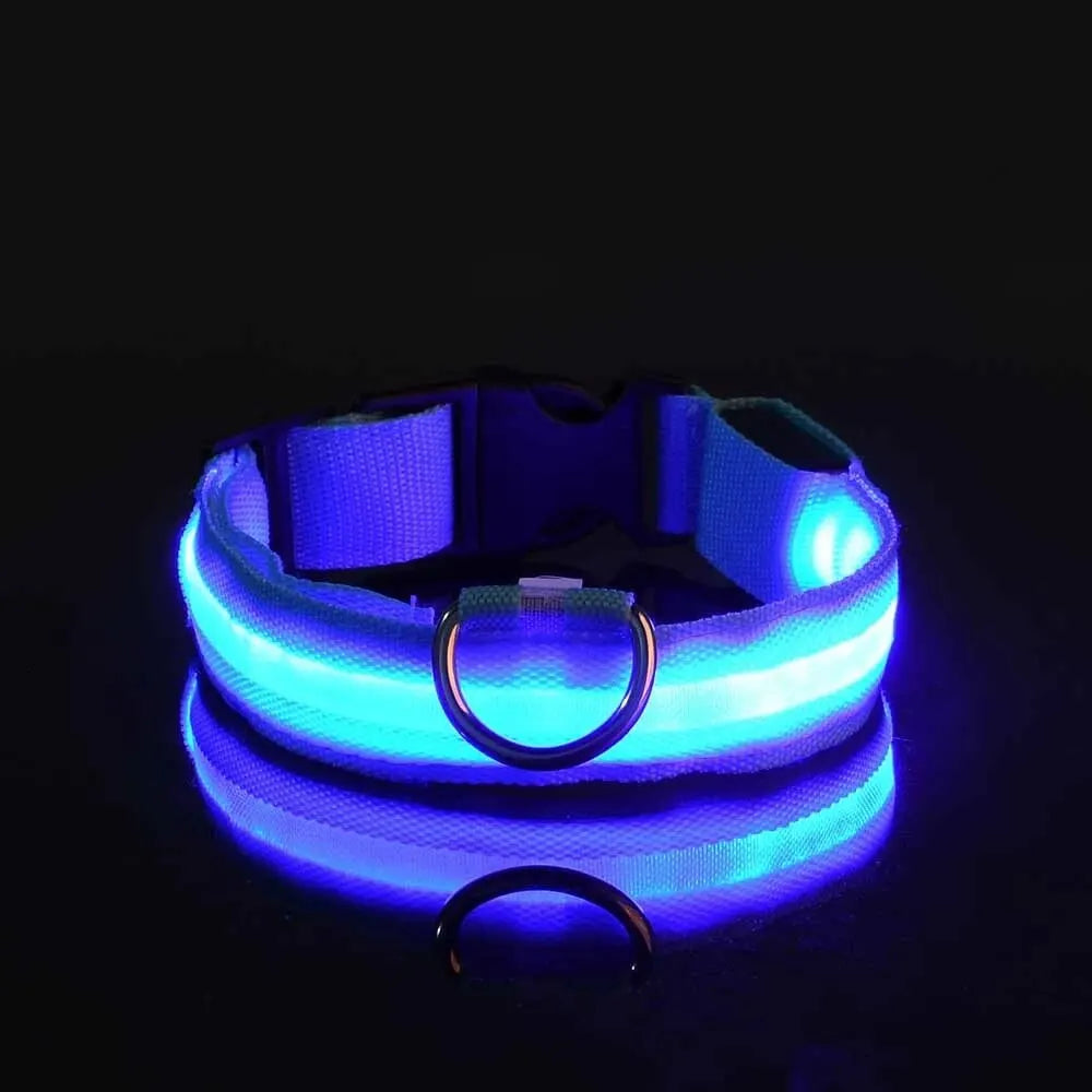 LED Night Safety Dog Leash | Glow-in-the-Dark Reflective Leash for Night Walks & Trail Runs