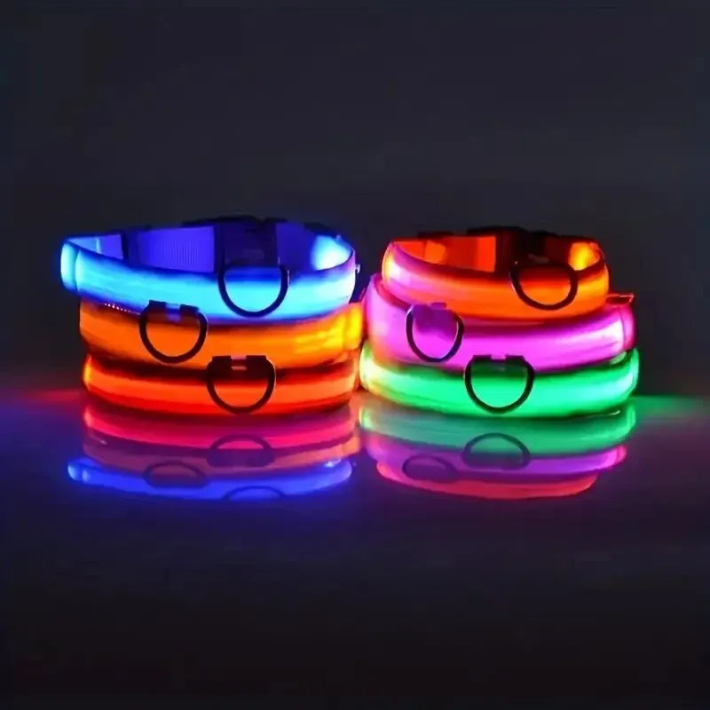 LED Night Safety Dog Leash | Glow-in-the-Dark Reflective Leash for Night Walks & Trail Runs