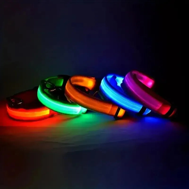 LED Night Safety Dog Leash | Glow-in-the-Dark Reflective Leash for Night Walks & Trail Runs
