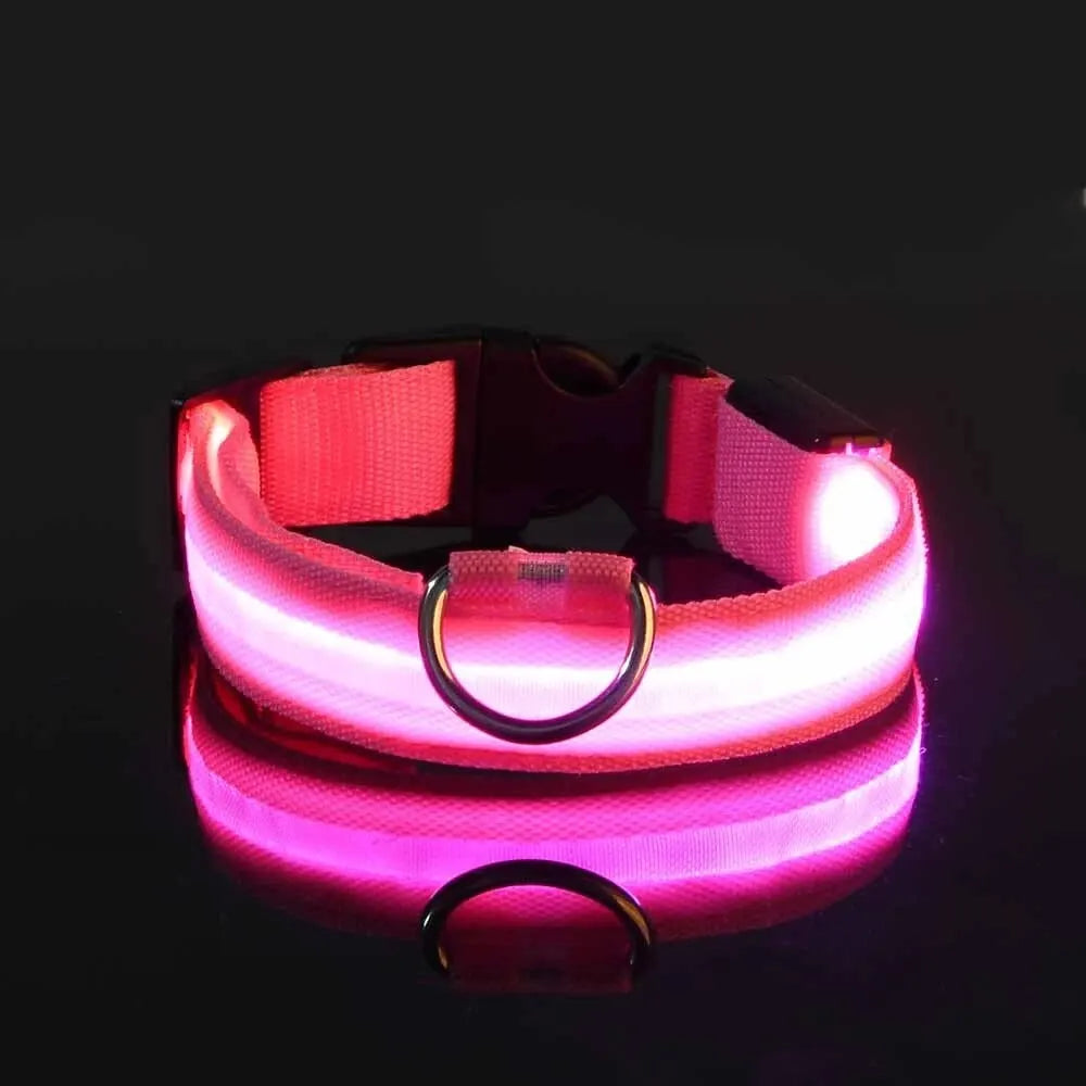 LED Night Safety Dog Leash | Glow-in-the-Dark Reflective Leash for Night Walks & Trail Runs