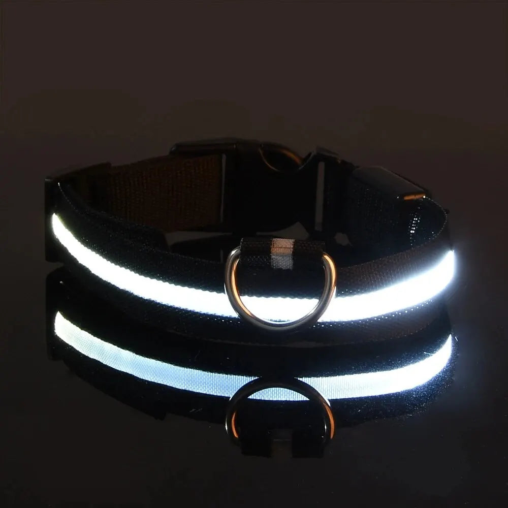 LED Night Safety Dog Leash | Glow-in-the-Dark Reflective Leash for Night Walks & Trail Runs