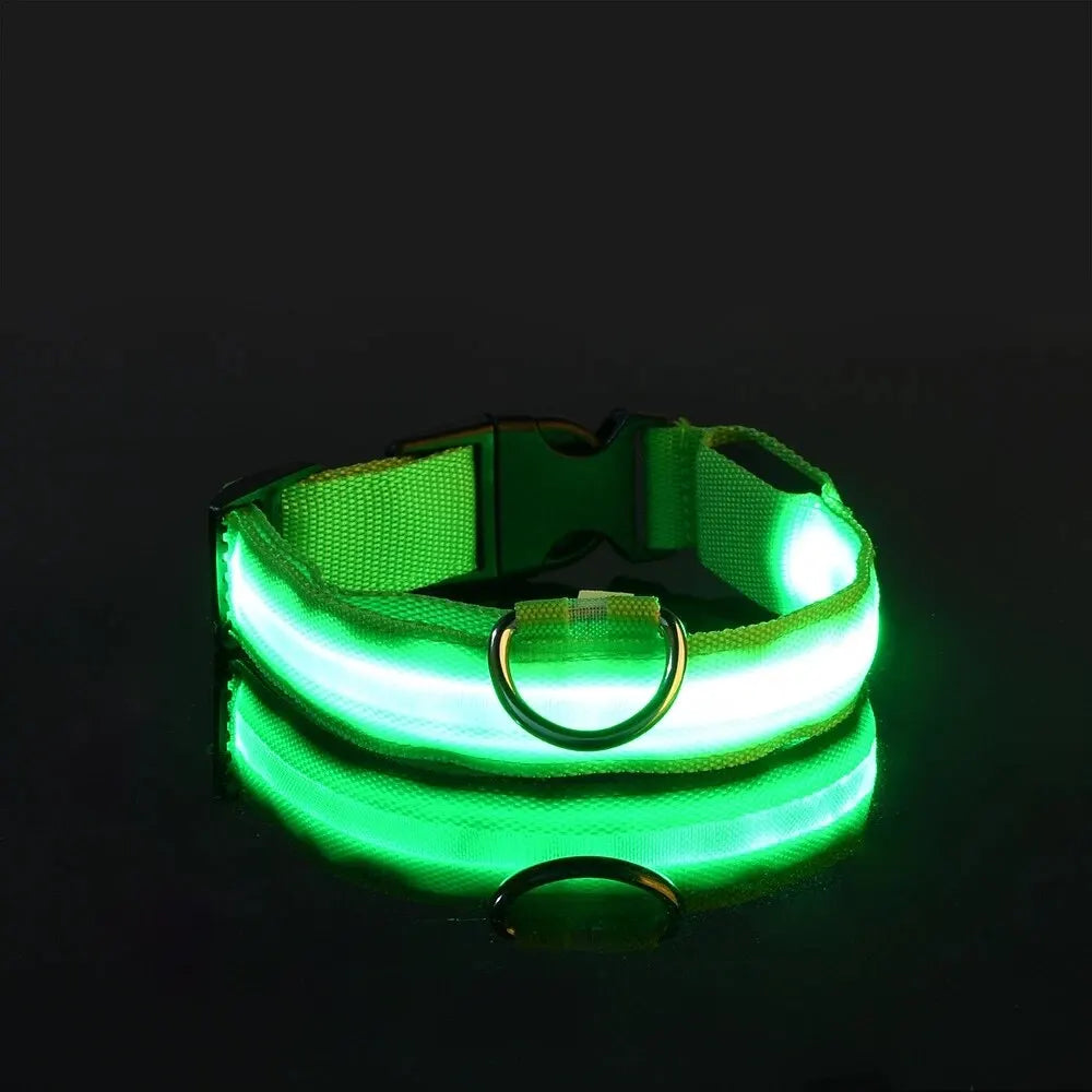 LED Night Safety Dog Leash | Glow-in-the-Dark Reflective Leash for Night Walks & Trail Runs
