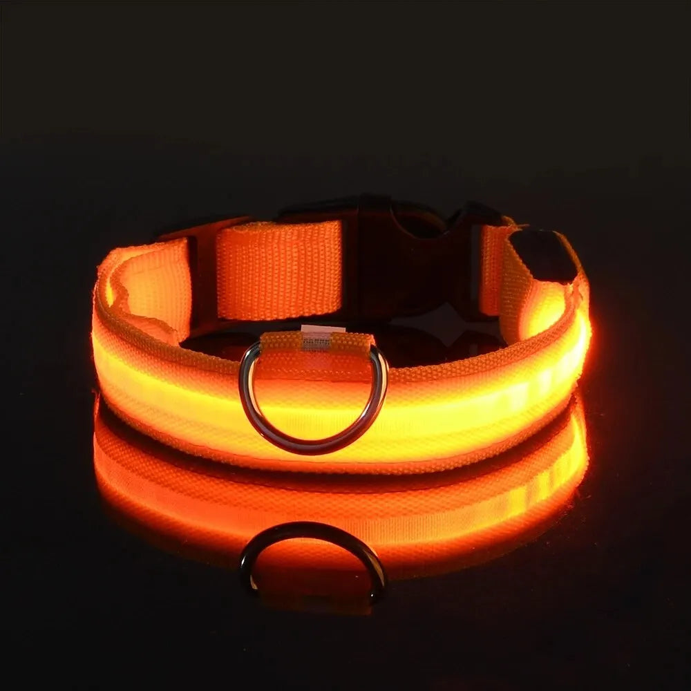 LED Night Safety Dog Leash | Glow-in-the-Dark Reflective Leash for Night Walks & Trail Runs