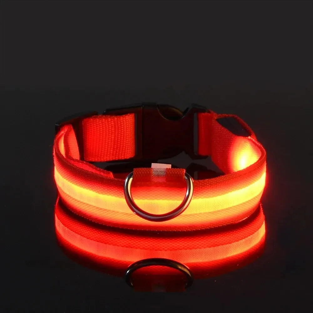 LED Night Safety Dog Leash | Glow-in-the-Dark Reflective Leash for Night Walks & Trail Runs