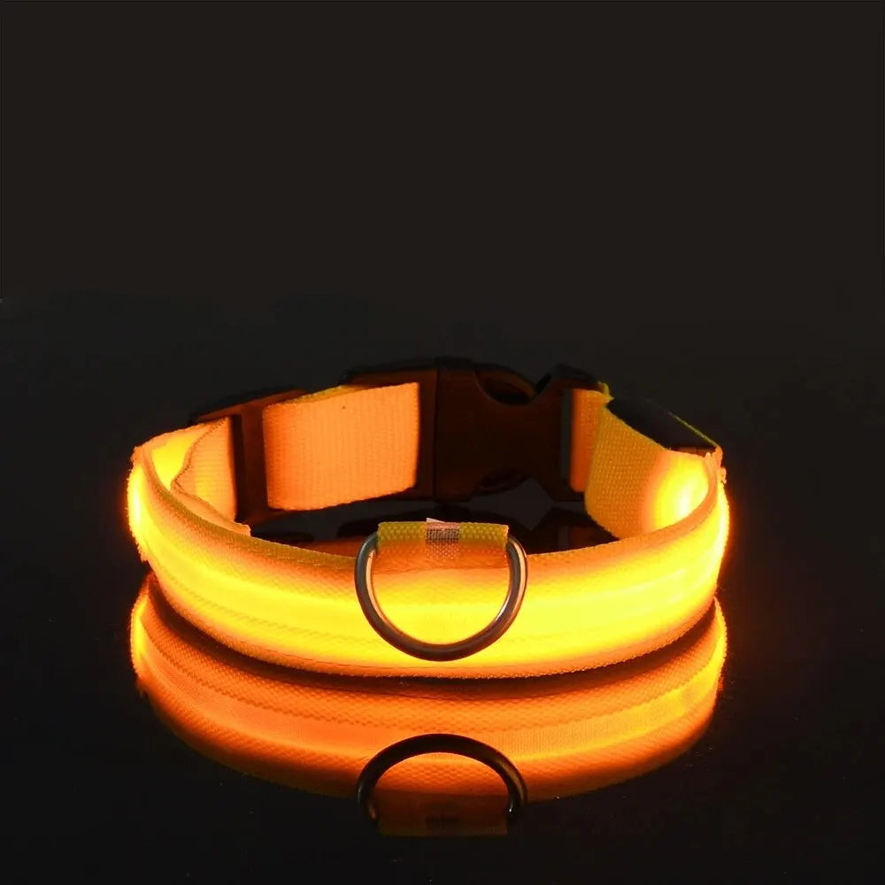 LED Night Safety Dog Leash | Glow-in-the-Dark Reflective Leash for Night Walks & Trail Runs